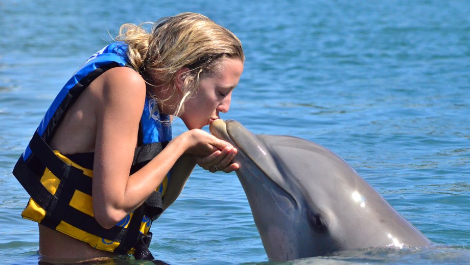 Encuentro con Delfines en San José