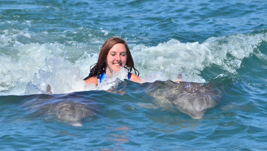 Nado Royal con delfines