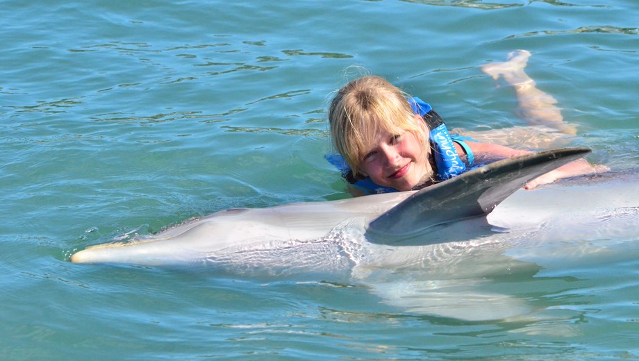 Aventura y nado con delfines