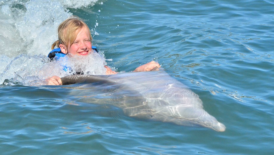 Aventura y nado con delfines