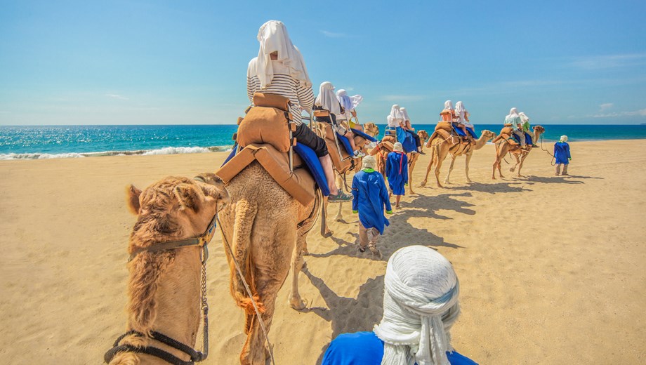 Safari por el desierto en Camello