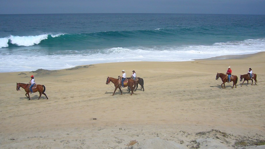 Combo ATV y Caballo en la Playa