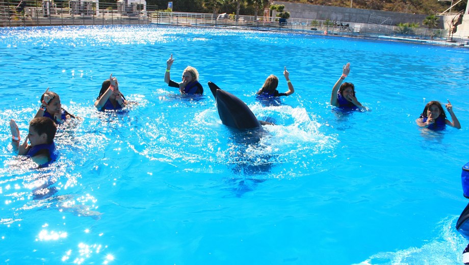 Experiencia con Delfines 