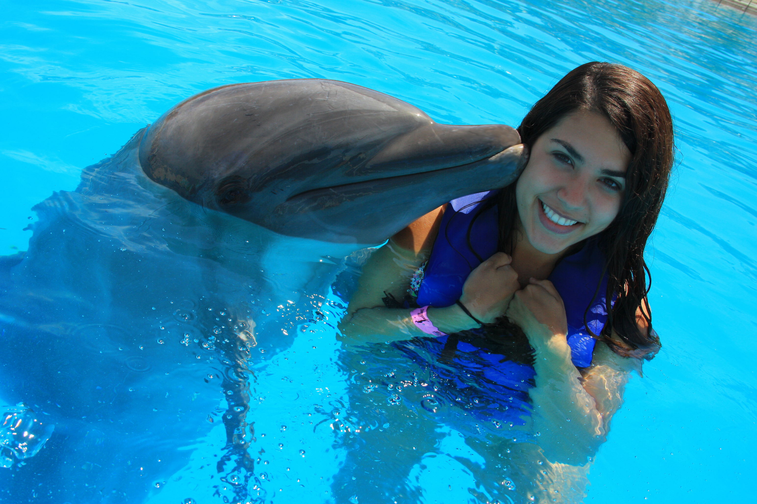 Dolphin Swim