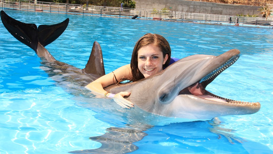 Encuentro con delfines 