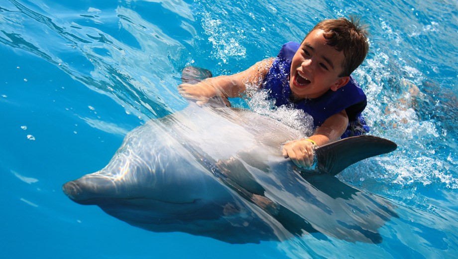 Aventura con delfines para niños