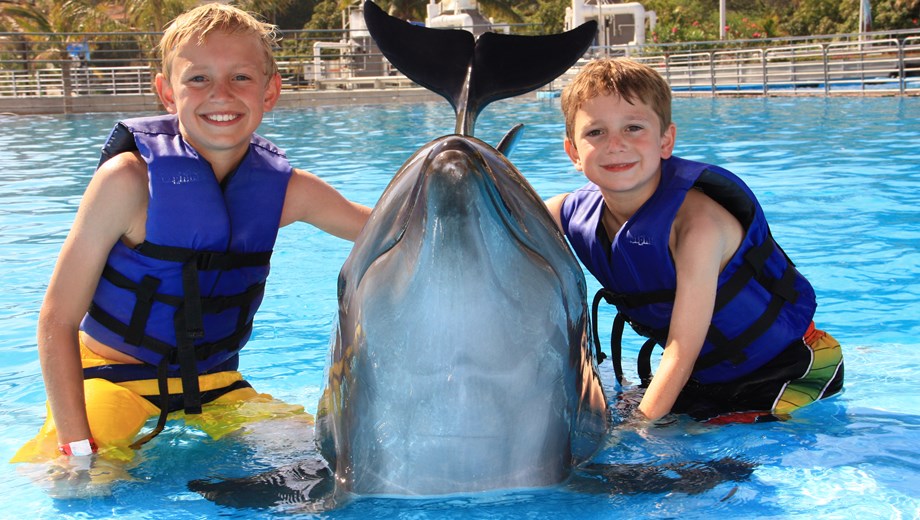 Dolphin Kids Adventure