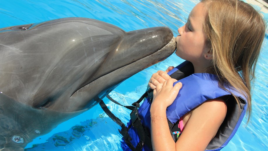 Aventura con delfines para niños