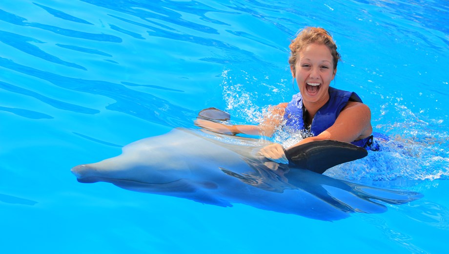 Swim with Dolphins VIP