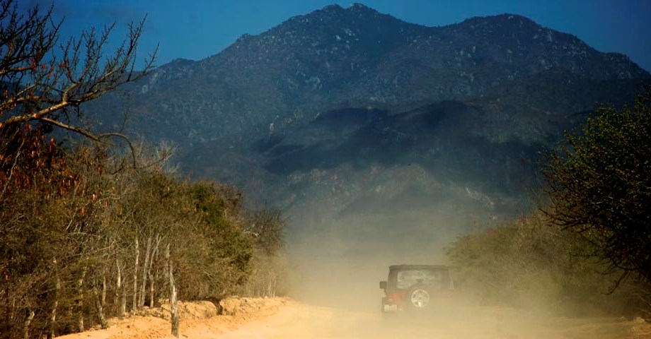 Jeep Tour to Cabo Pulmo