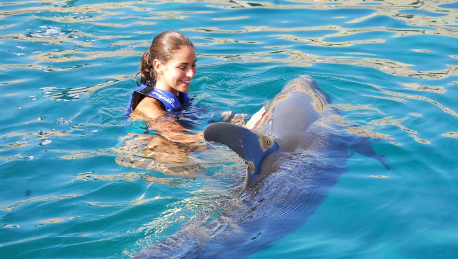 Dolphin Encounter & Royal Garrafon 