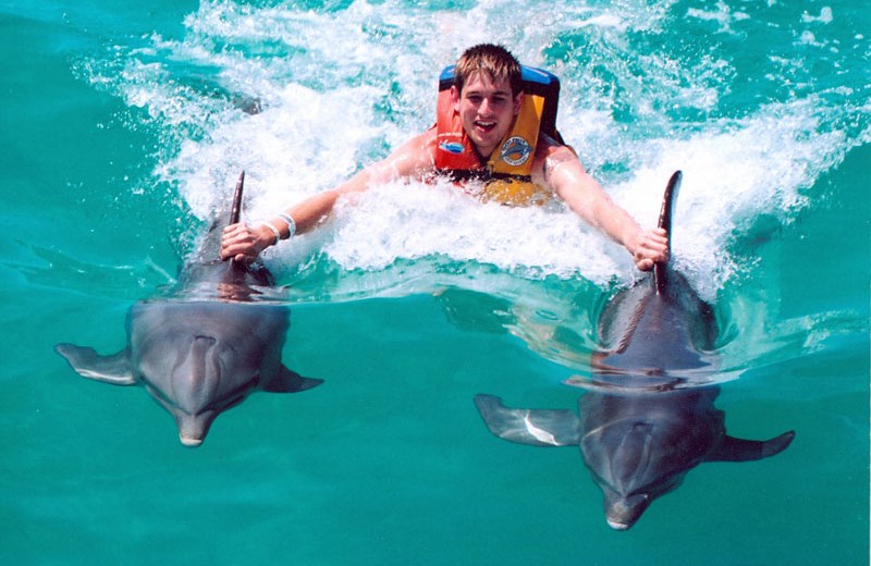 Royal Garrafon & Nado con Delfines