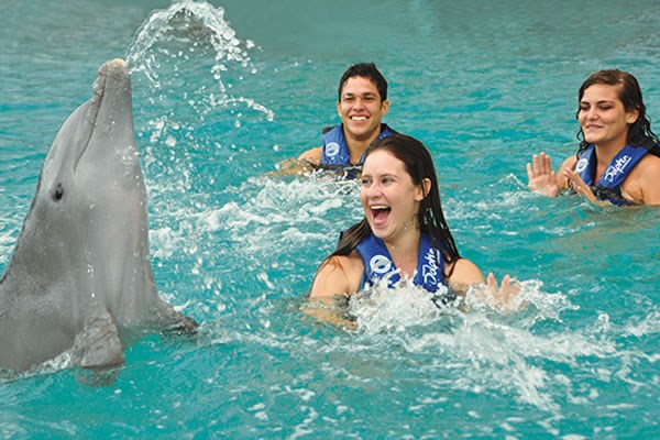 Royal Garrafon & Nado con Delfines