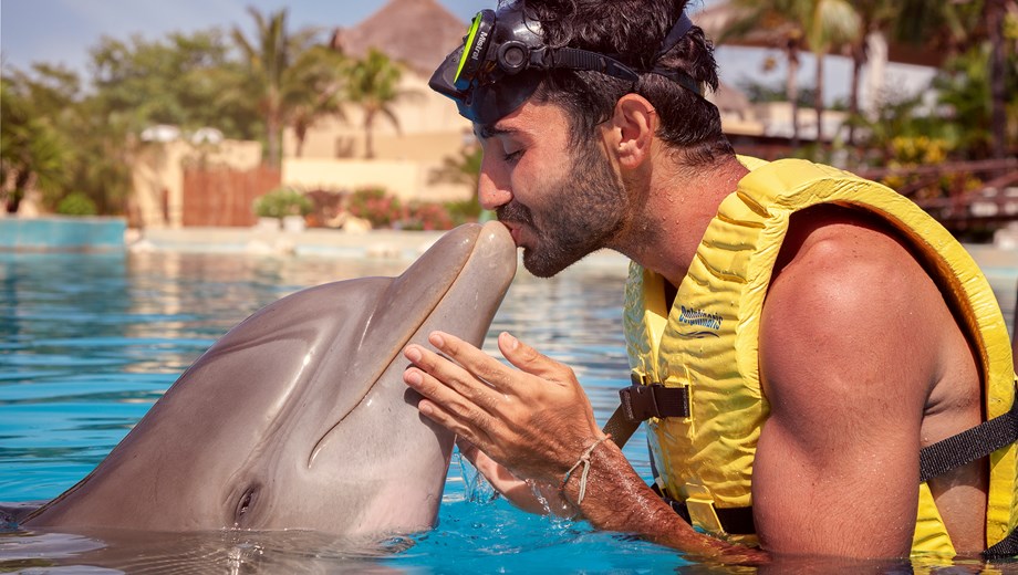 Dolphin Friendly Encounter