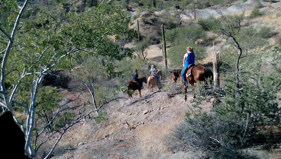 Horseback Riding Adventure