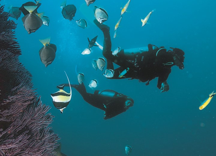 Scuba diving at El Sequial