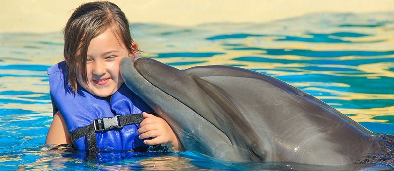 Niños con Delfines