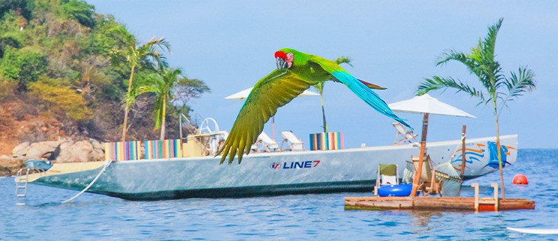 Las Caletas My Experience Tours Las Caletas Beach Hideaway