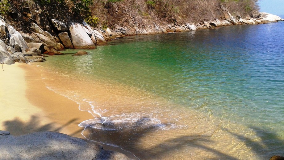 Hotels travelers are raving about... Book in advance to save up to 40% on National car rental in Puerto Vallarta