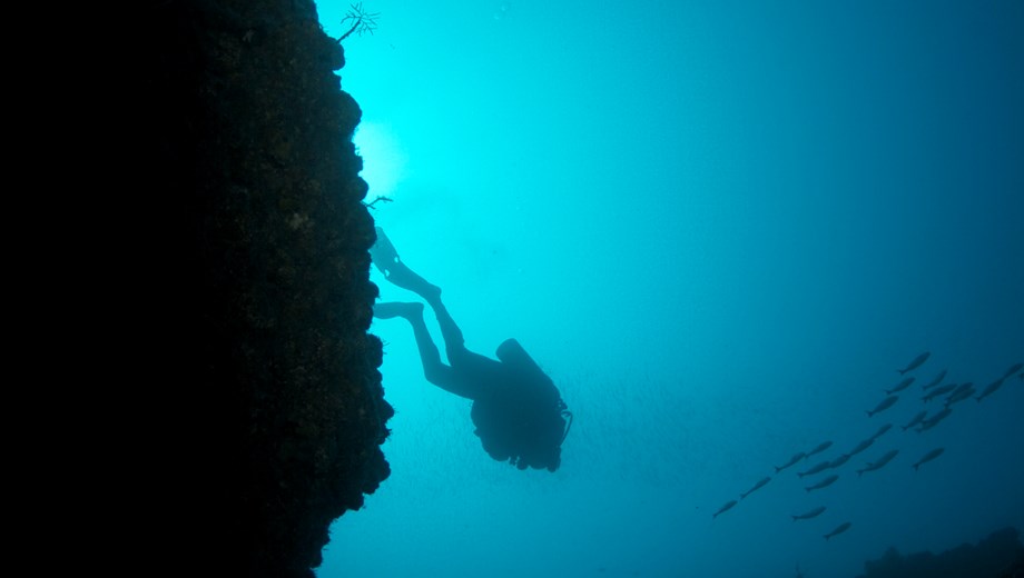 Scuba diving at El Morro