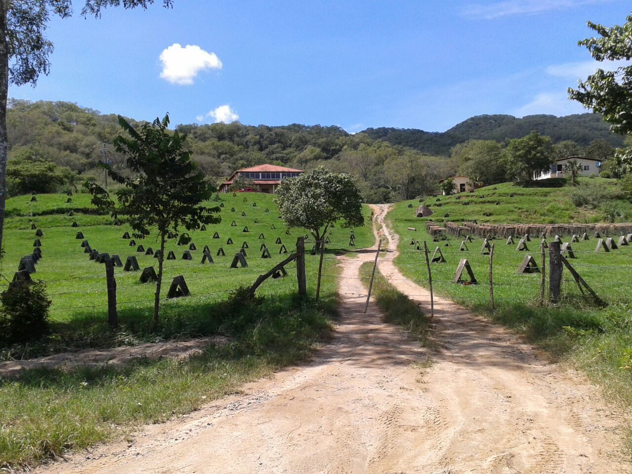 El Tuito, Hidden Mexico My Experience Tours