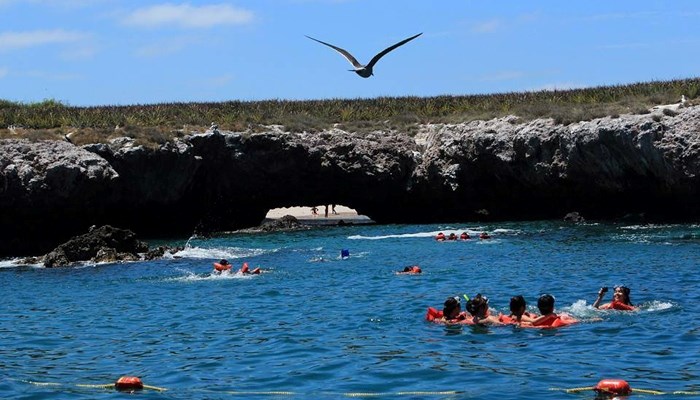 National Car Rental Puerto Vallarta Reviews National Car Rental Puerto Vallarta Reviews