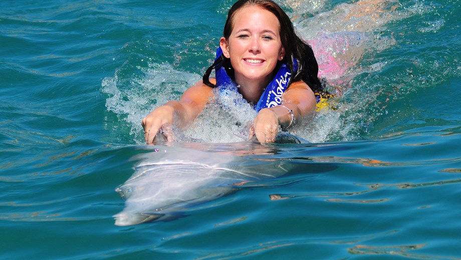 Dolphin Swim 